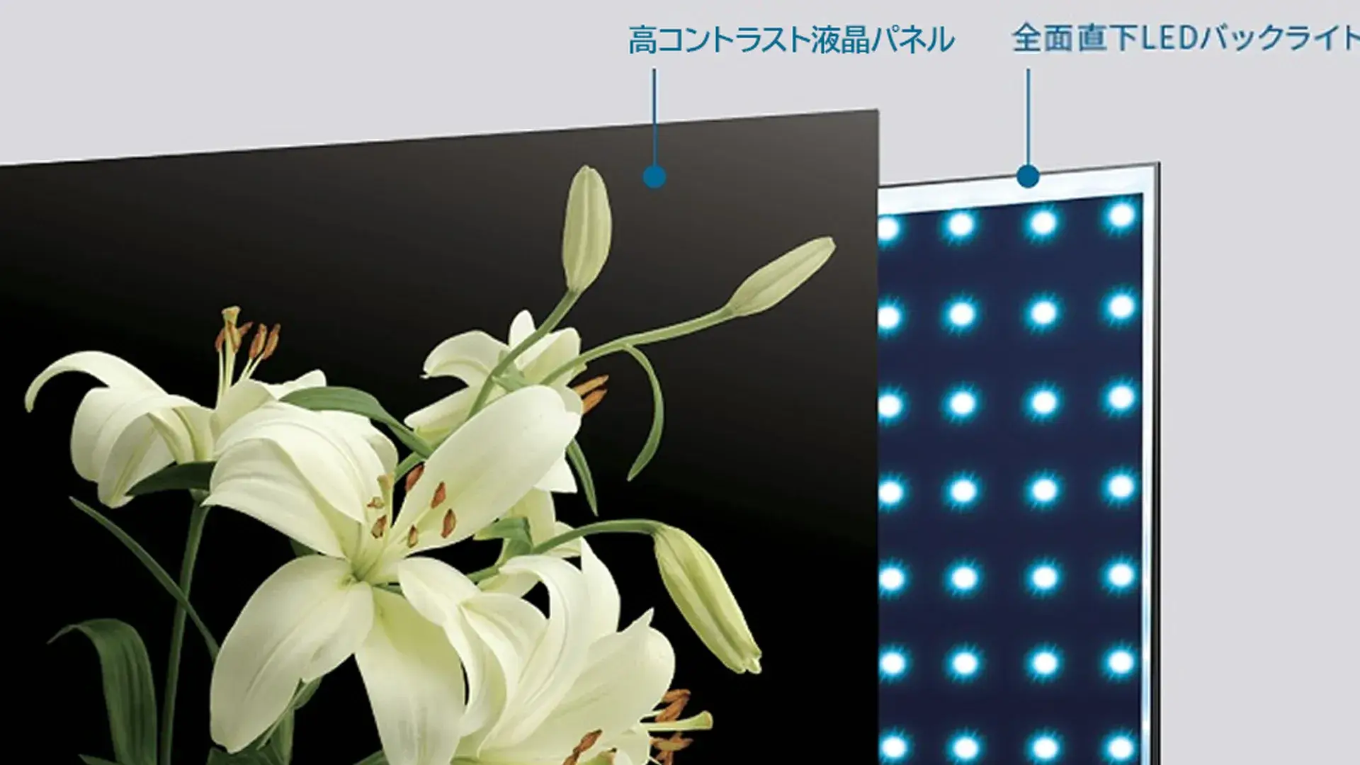 4K液晶ディスプレイ TD-BN series 商品詳細｜TVS REGZA株式会社