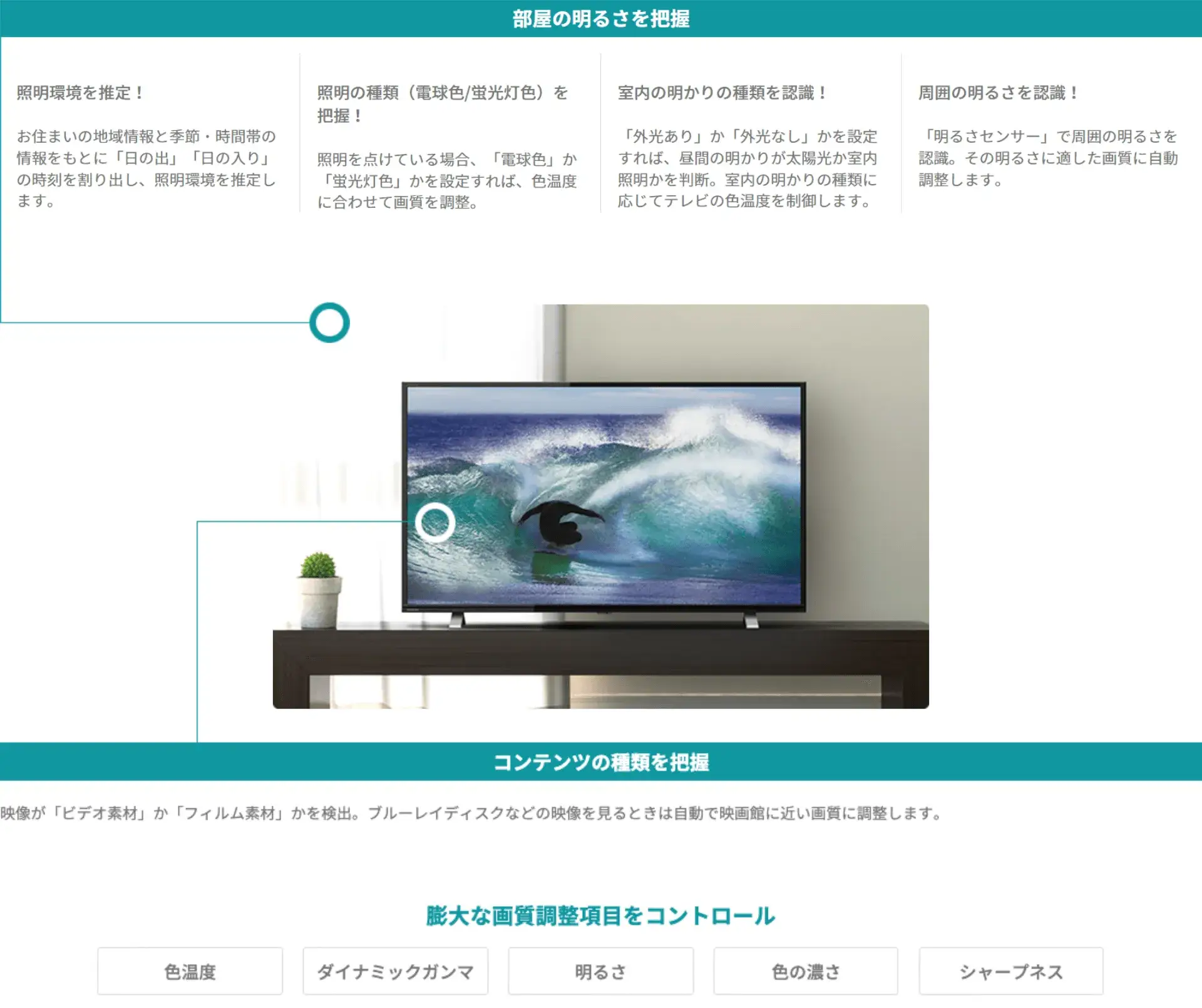 法人向けレグザ C350M series 商品詳細｜TVS REGZA株式会社