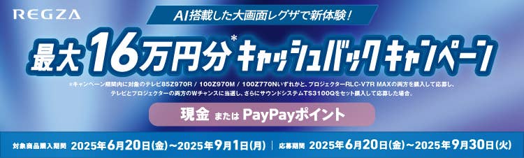 総額最大16万円分のキャッシュバックキャンペーンを6月20日より実施
