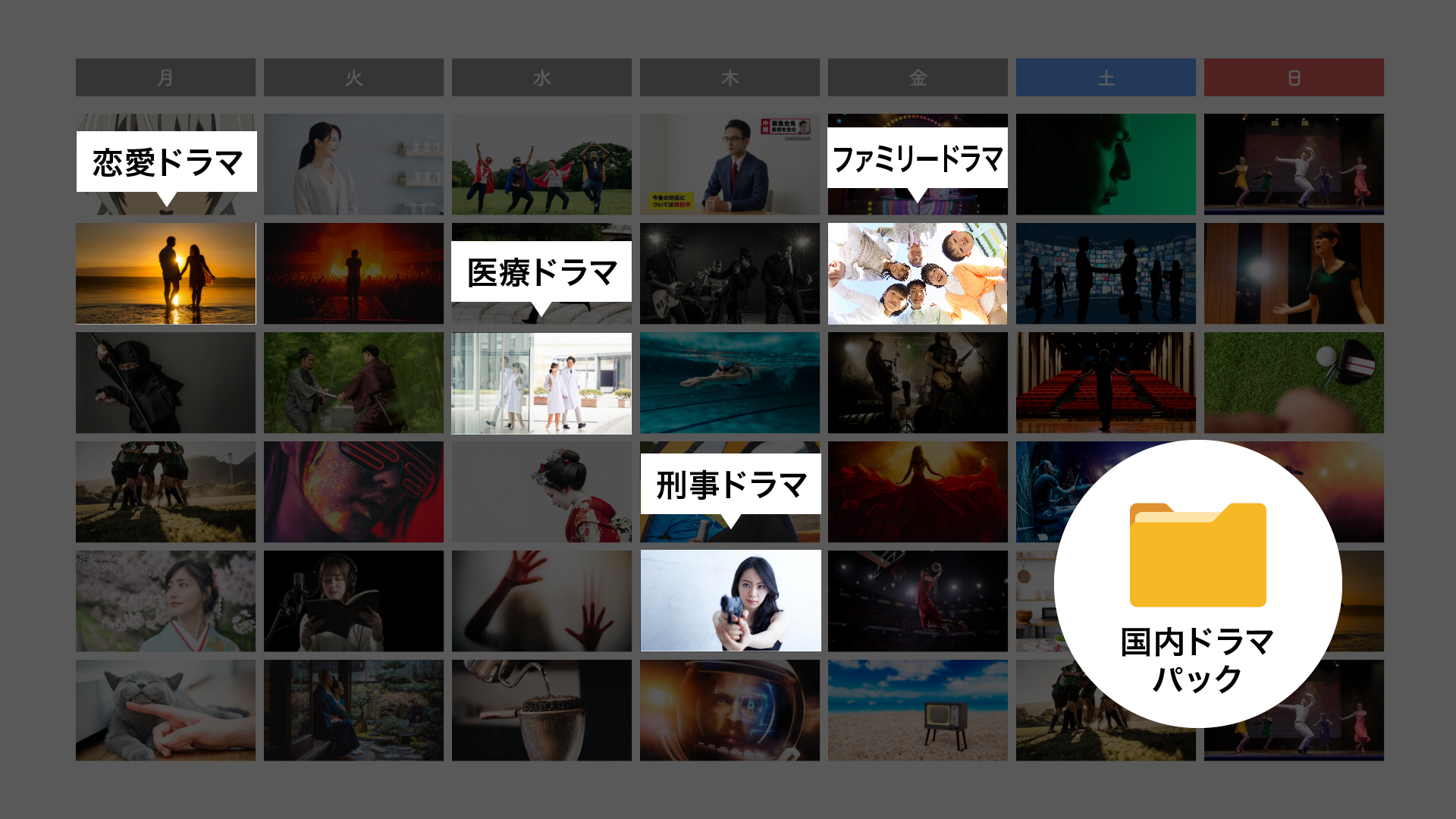 国内ドラマパック