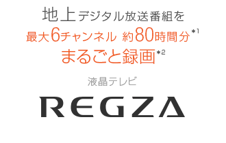 【レグザ】地上デジタル放送番組を最大6チャンネル 約80時間分*1まるごと録画*2