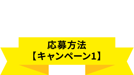 テレビだけで応募する 応募方法【キャンペーン1】