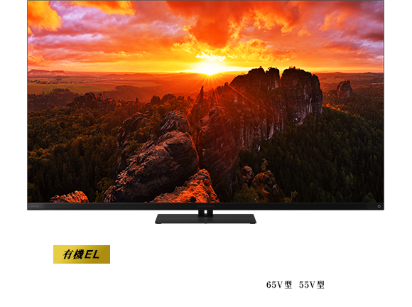 タイムシフトマシン 4K有機ELレグザ X9900N SERIES