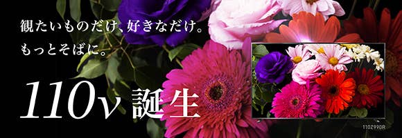 観たいものだけ、好きなだけ。もっとそばに。110v誕生