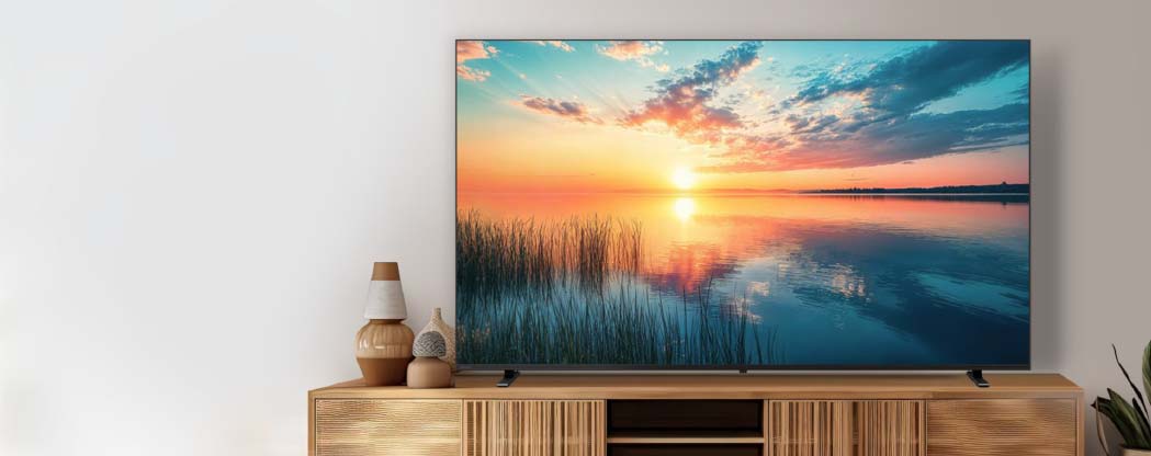 4K 液晶レグザ 85E350N イメージ