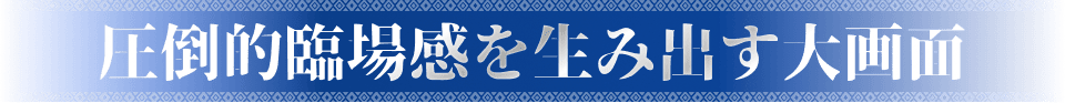圧倒的臨場感を生み出す大画面