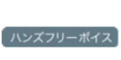 voice