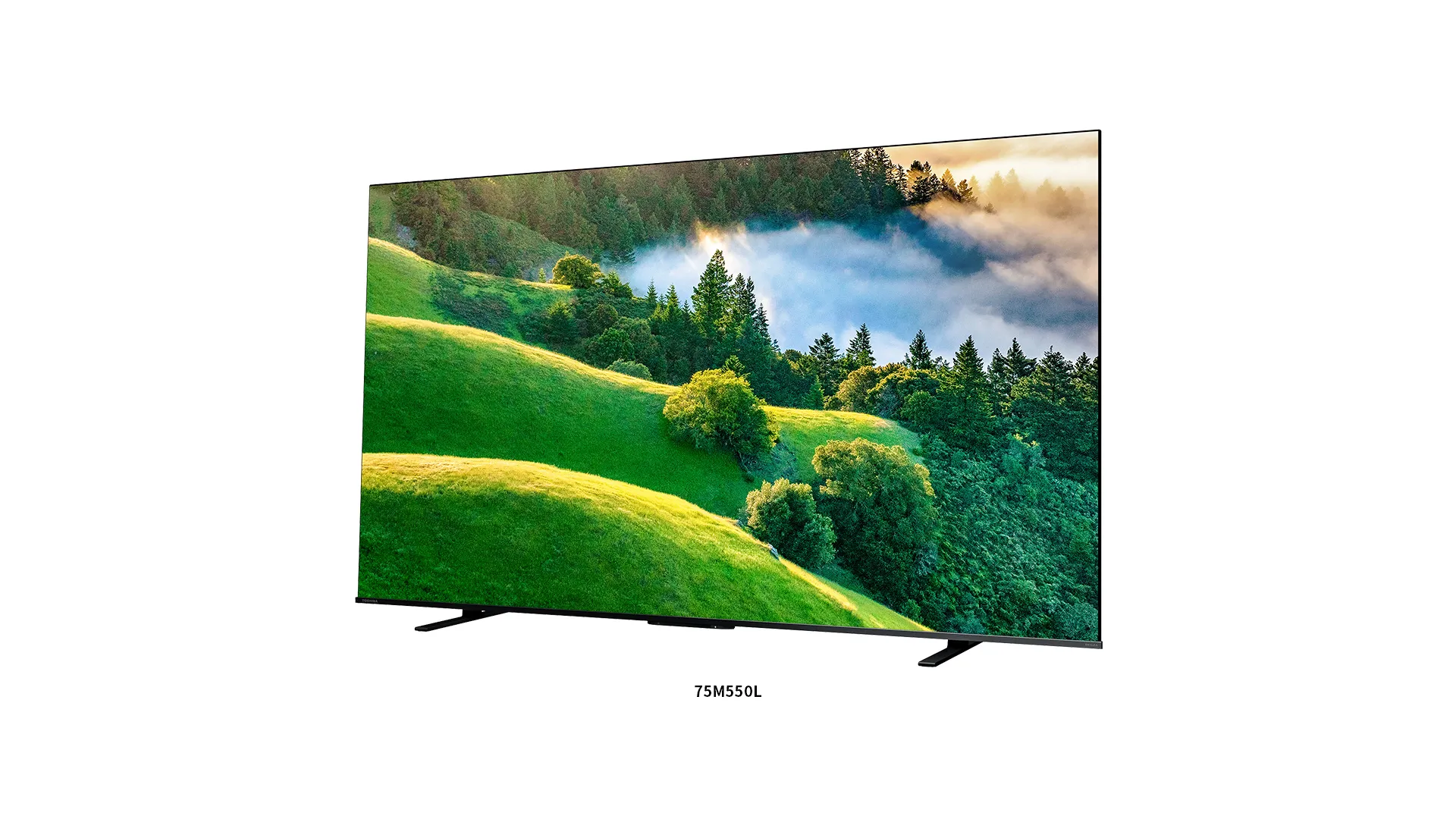 AppleAiREGZA 4K液晶テレビ 43インチ M550L