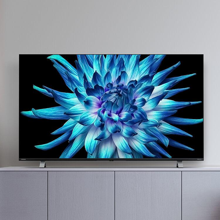 TOSHIBA REGZA 4k 液晶テレビ 50C350X - www.sorbillomenu.com