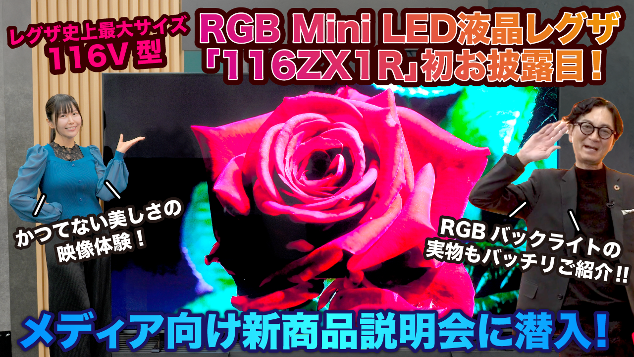 ⭐︎専用販売⭐︎液晶テレビ 外付けHDD録画対応 32V型 ハイビジョンLED液晶テレビ (まろんとかろん