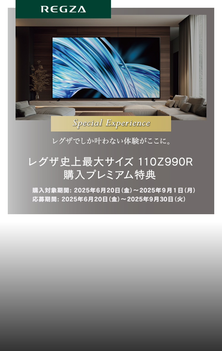 cp110v-sp