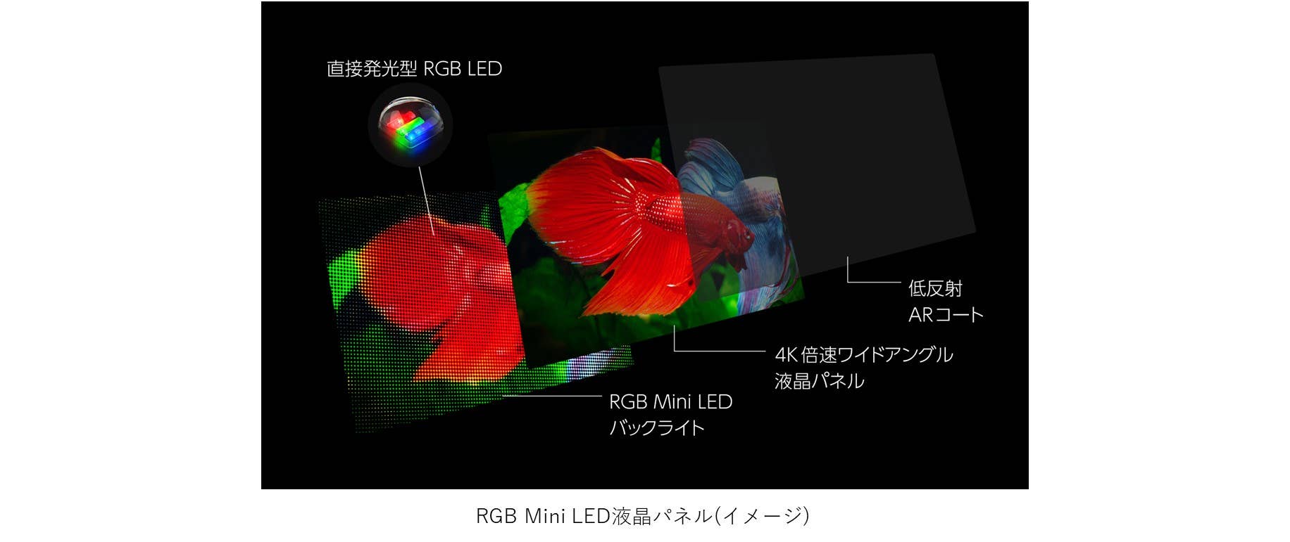 RGB Mini LED液晶レグザ「ZX1S」「ZX2S」など2026年新商品5モデル発売