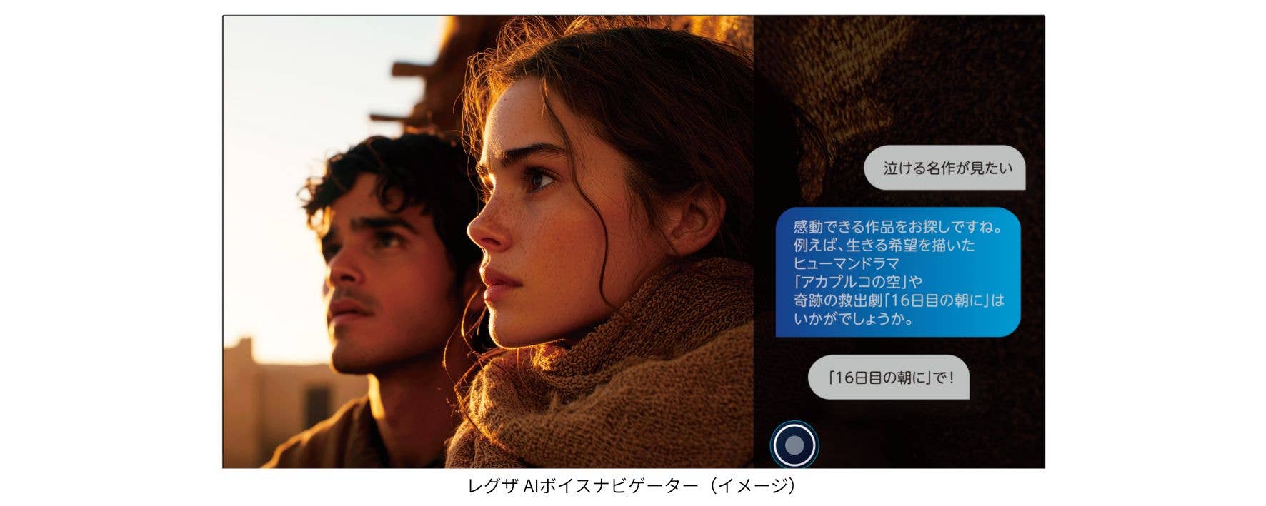 レグザAIボイスナビゲーター (1)