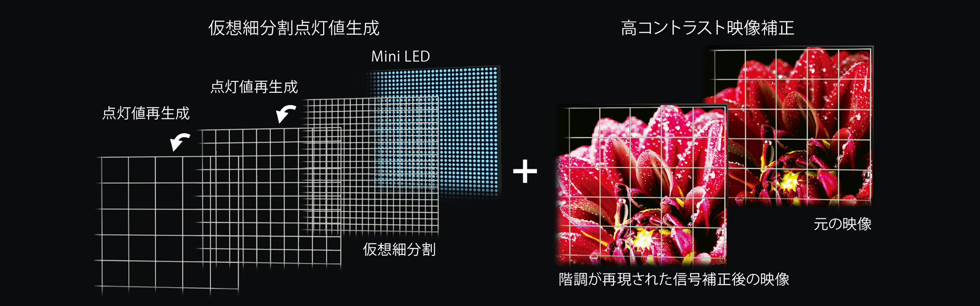 quality-12-MiniLED-areacontrol.jpg