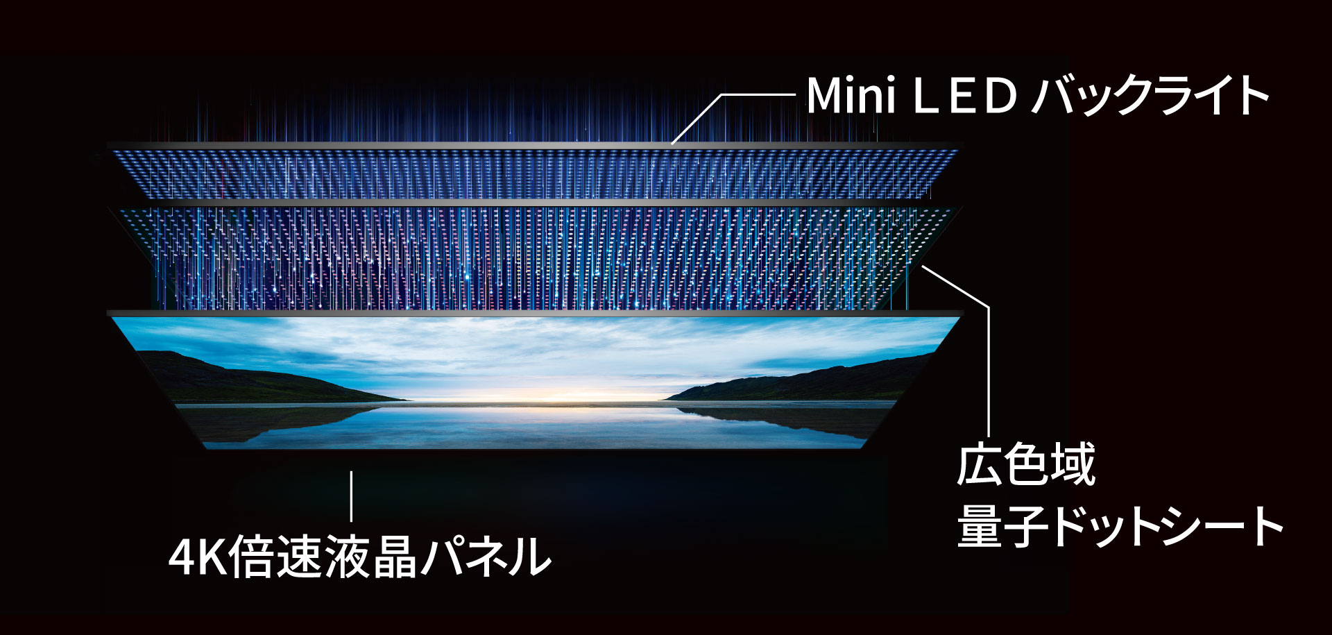 Mini LED液晶パネルモジュール_レグザ