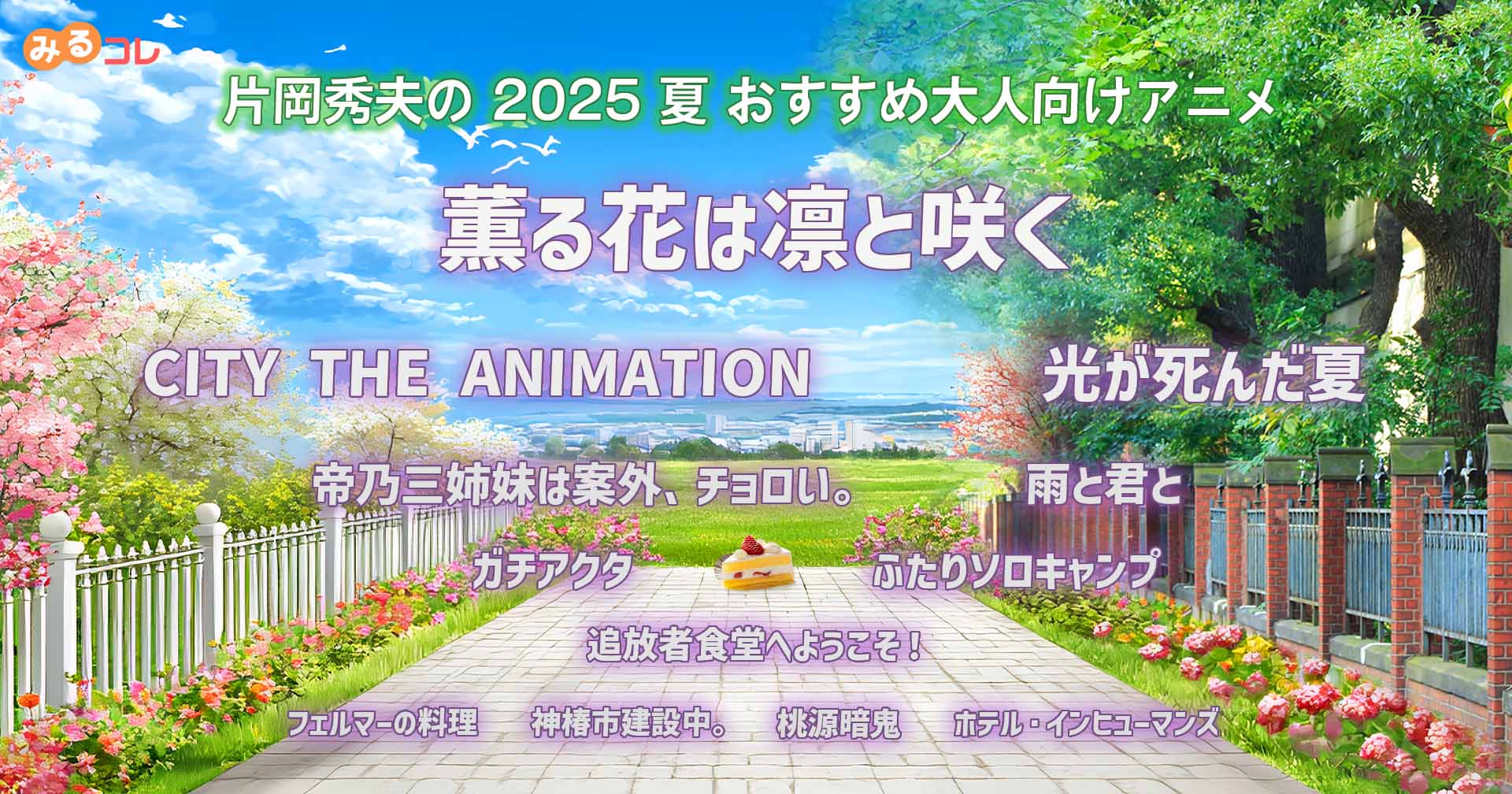 おすすめ大人向けアニメ