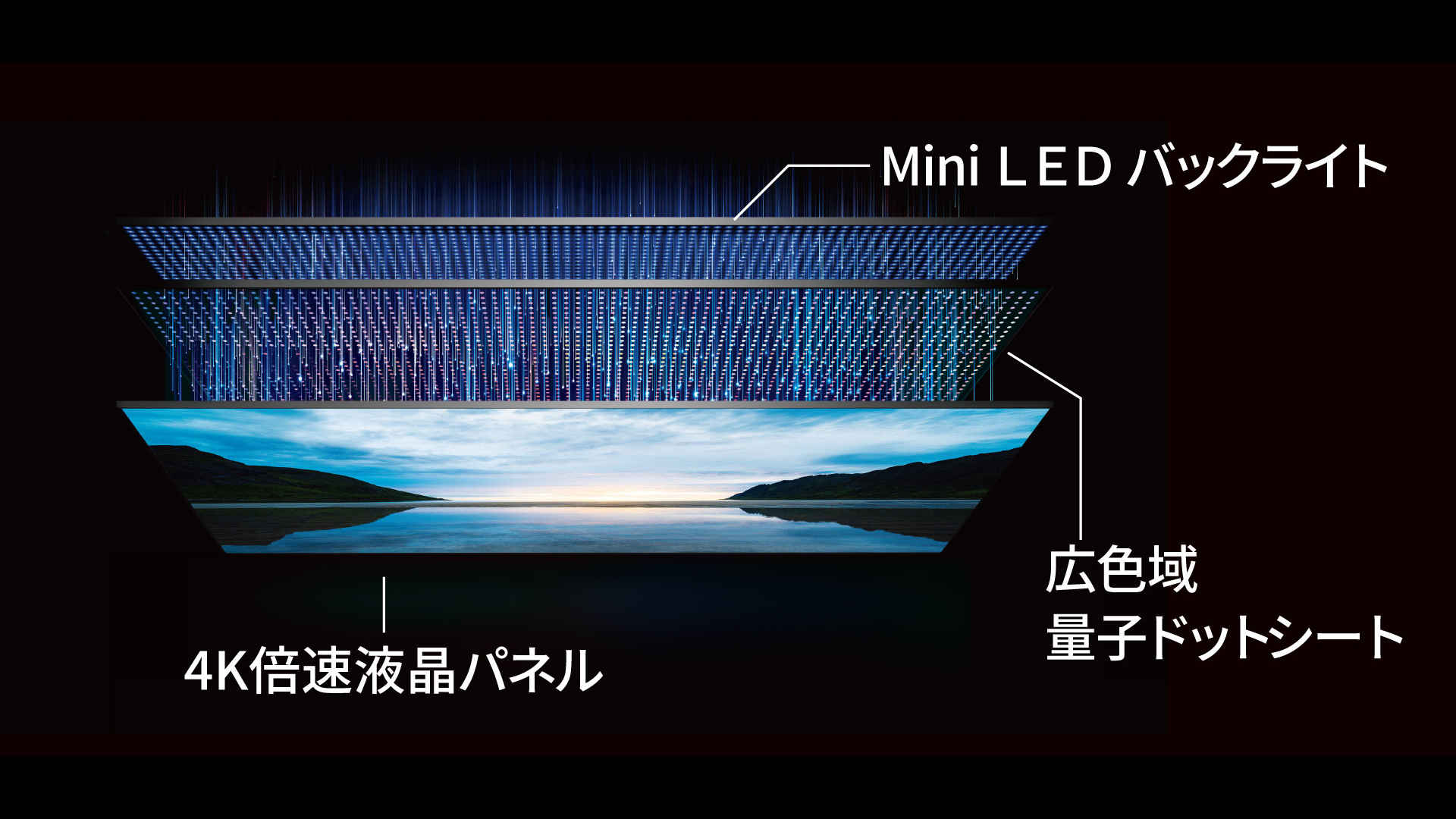 Mini LED液晶パネルモジュール_レグザ