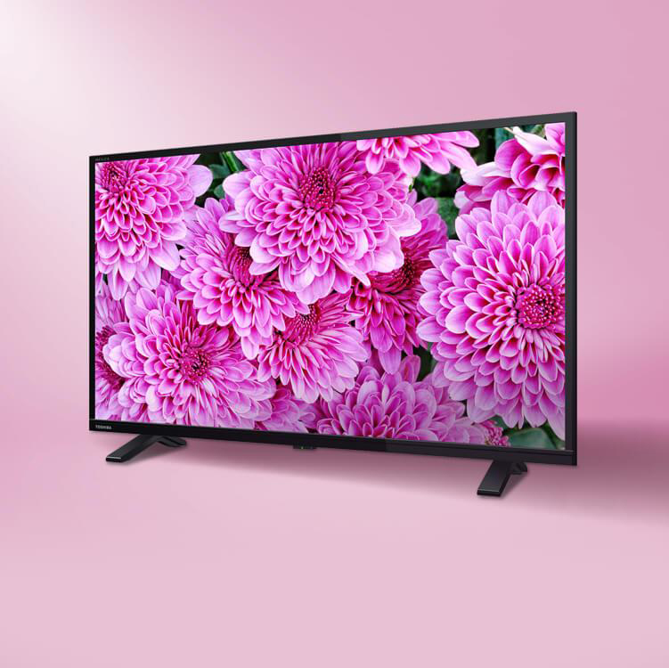 TOSHIBA REGZA G20X 49G20X（49インチ 4K液晶テレビ） - テレビ