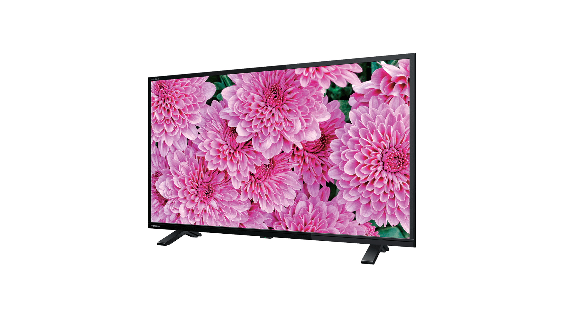 S24 商品詳細｜REGZA<レグザ>TOSHIBA(東芝)