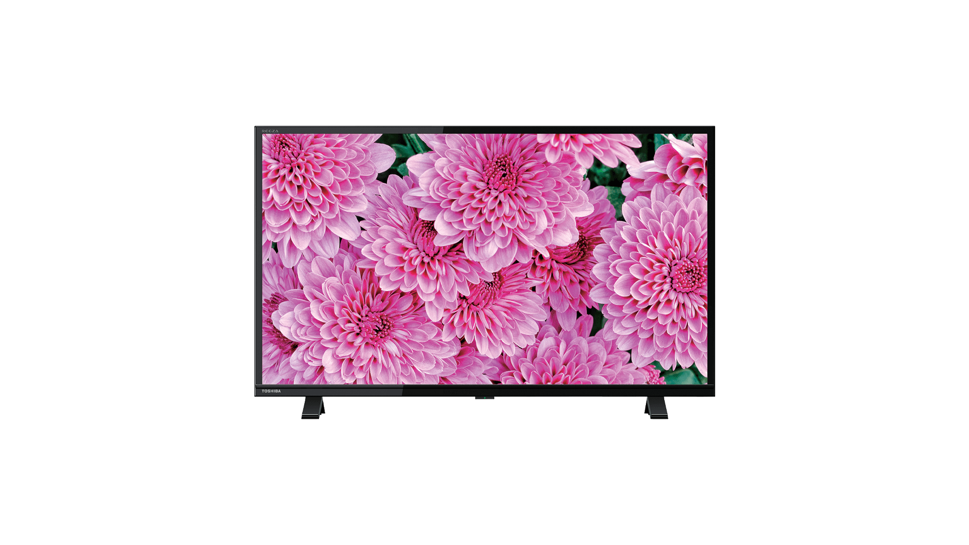 REGZA ハイビジョン液晶テレビ19型 - テレビ