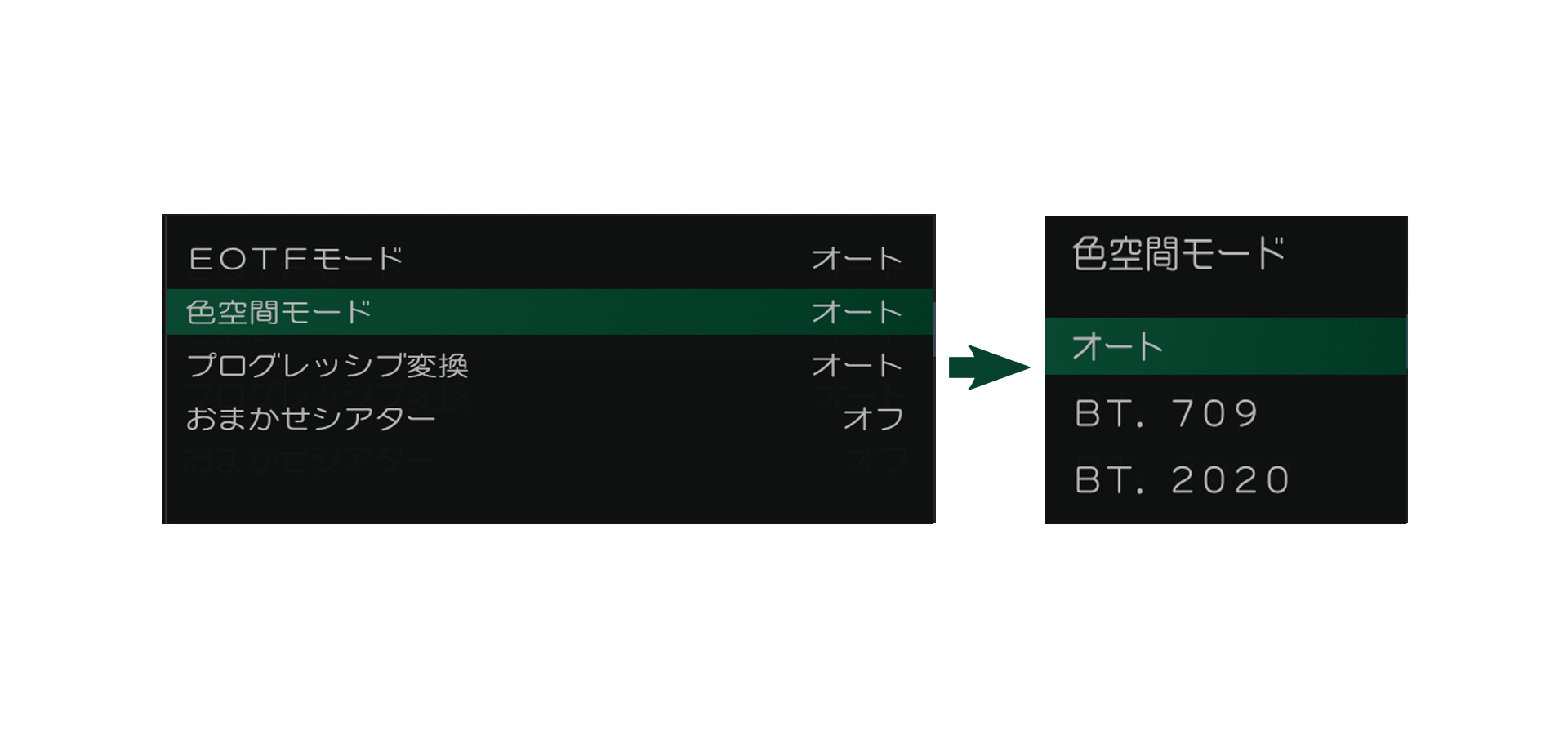 プロユース映像分析・設定_2色空間マニュアル設定_レグザ