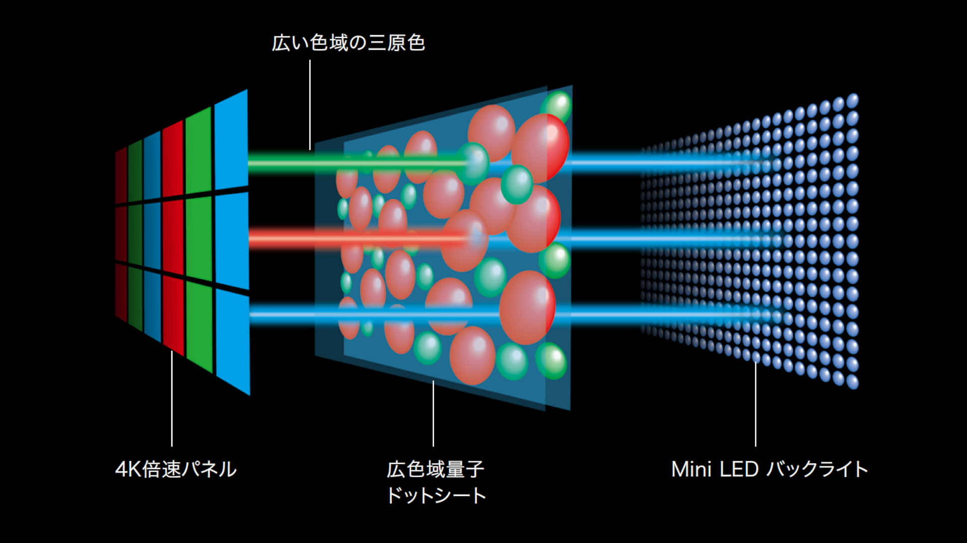 Mini LED 広色域量子ドットパネル_レグザ