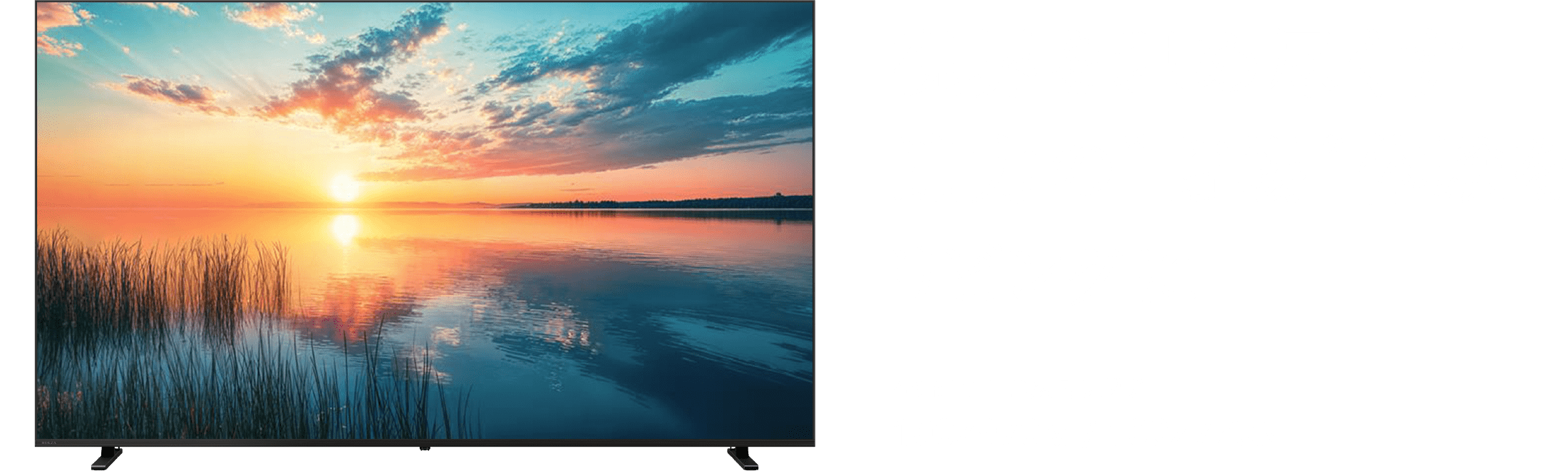 視界を埋め尽くす迫力の“臨場”体験をリビングに 4K Mini LED液晶レグザ 100Z970M / 100Z770N